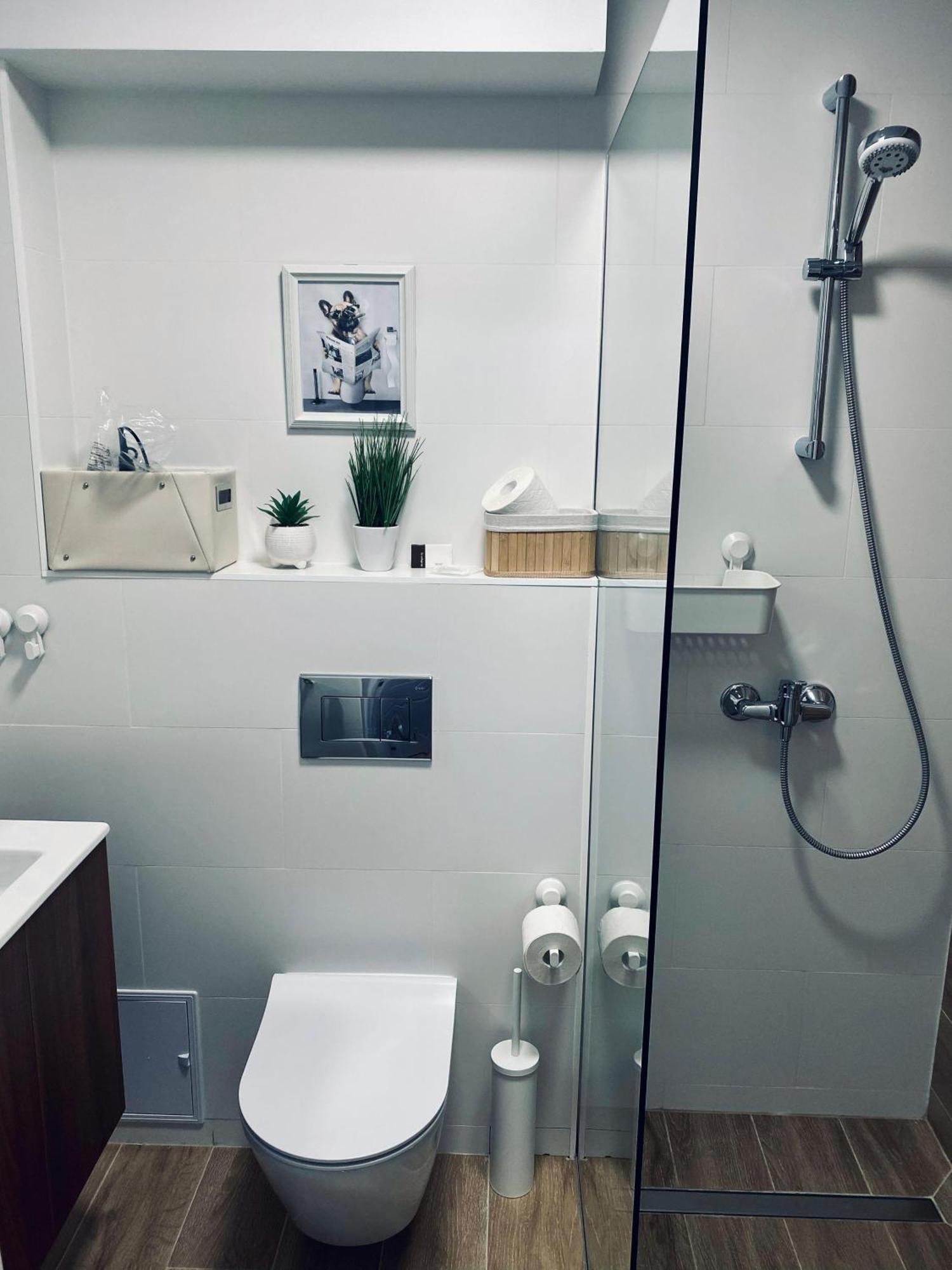 Central Luxury Apartment Яссы Экстерьер фото